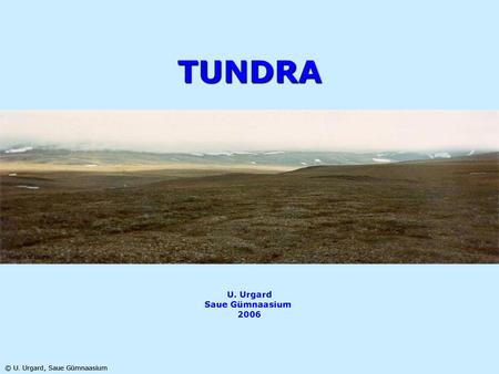 TUNDRA U. Urgard Saue Gümnaasium 2006.