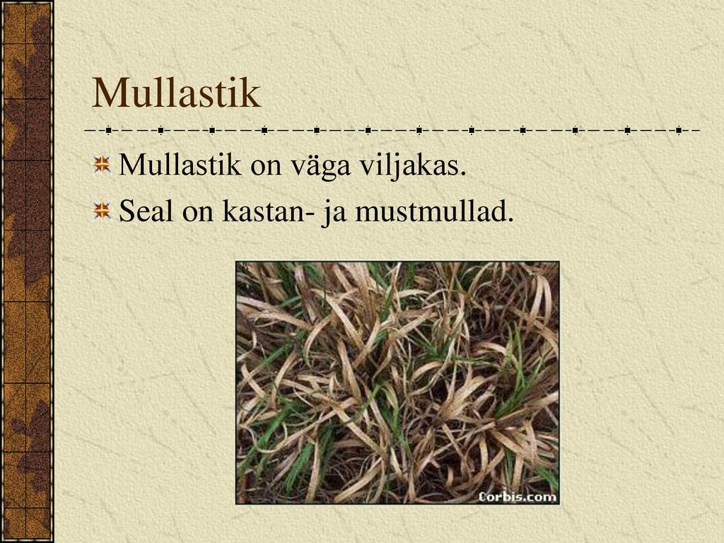 Mullastik Mullastik on väga viljakas. Seal on kastan- ja mustmullad.