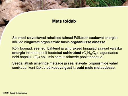 Mets toidab Sel moel salvestavad rohelised taimed Päikeselt saabuvat energiat kõikide hingavate organismide tarvis orgaanilisse ainesse. Kõik loomad, seened,