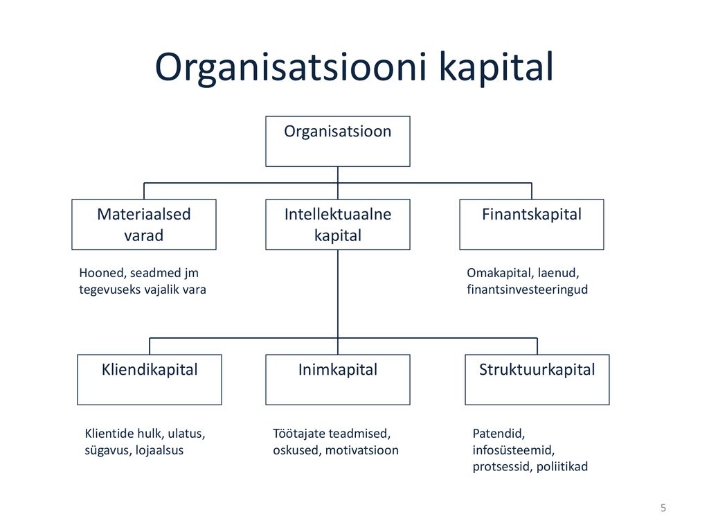Organisatsiooni kapital