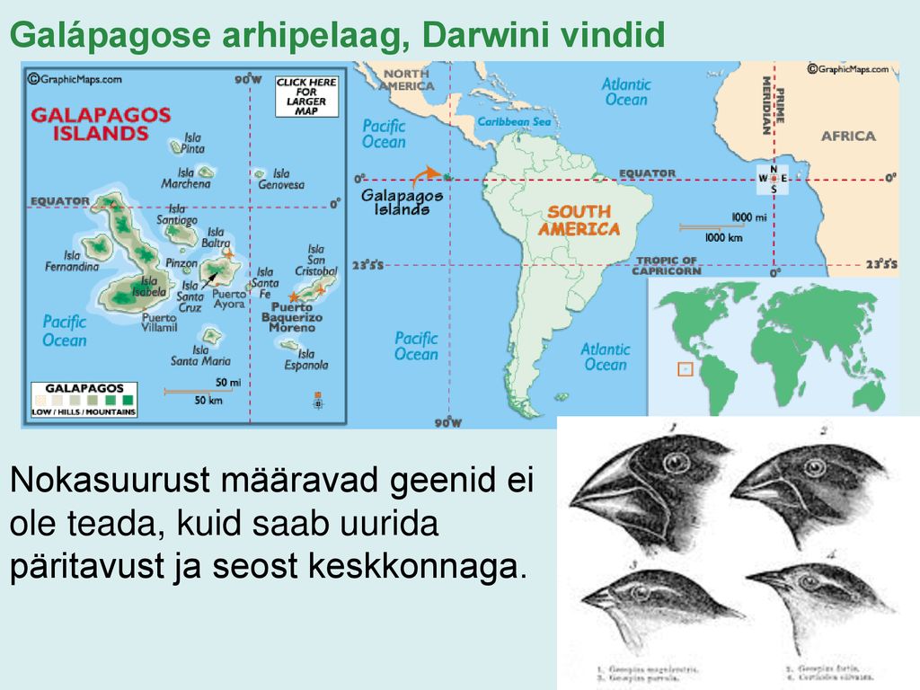 Galápagose arhipelaag, Darwini vindid