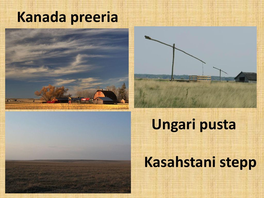 Kanada preeria Ungari pusta Kasahstani stepp