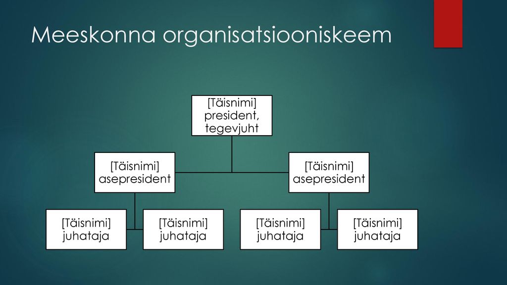 Meeskonna organisatsiooniskeem