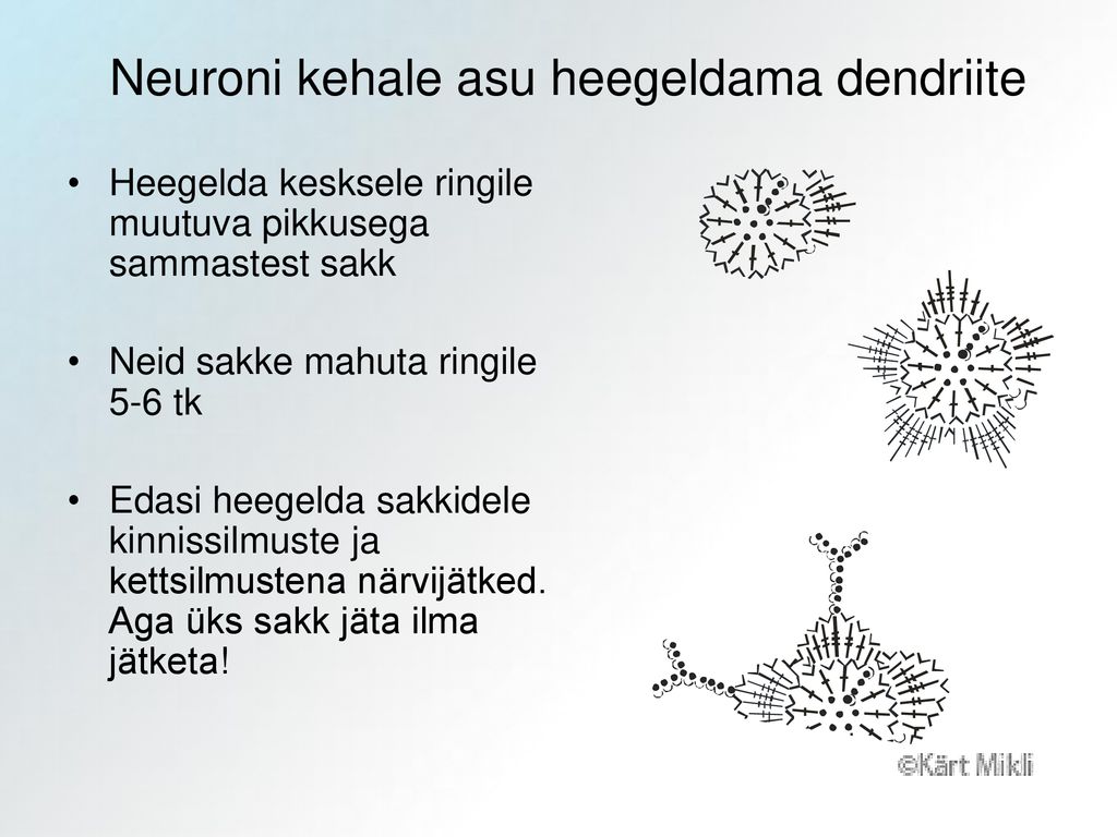Neuroni kehale asu heegeldama dendriite