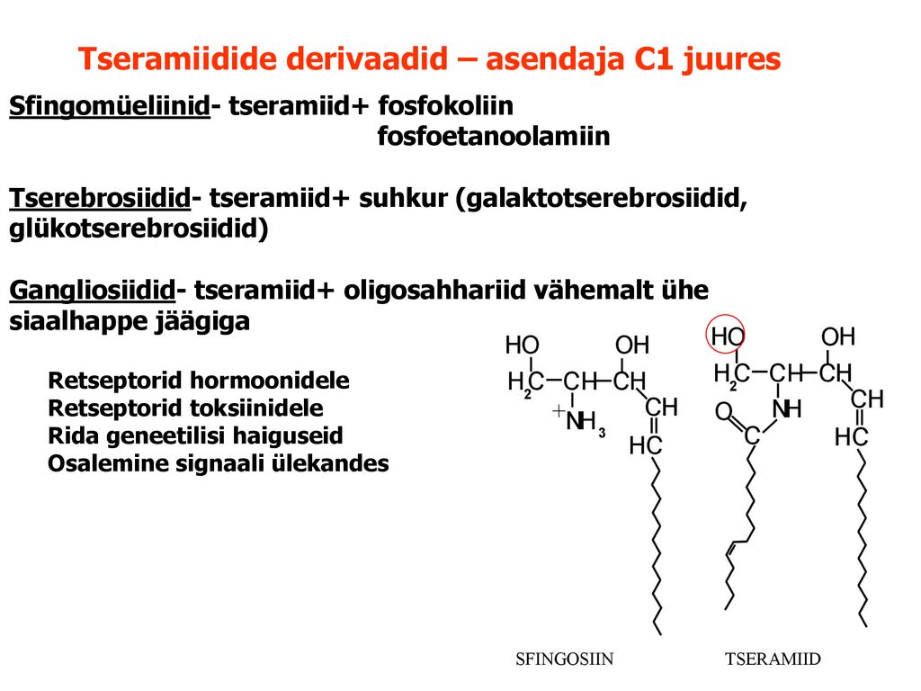Tseramiidide derivaadid – asendaja C1 juures