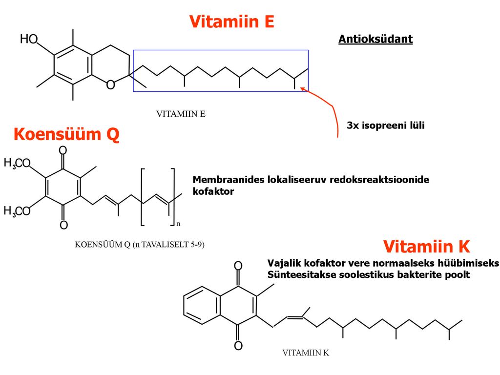 Vitamiin E Koensüüm Q Vitamiin K
