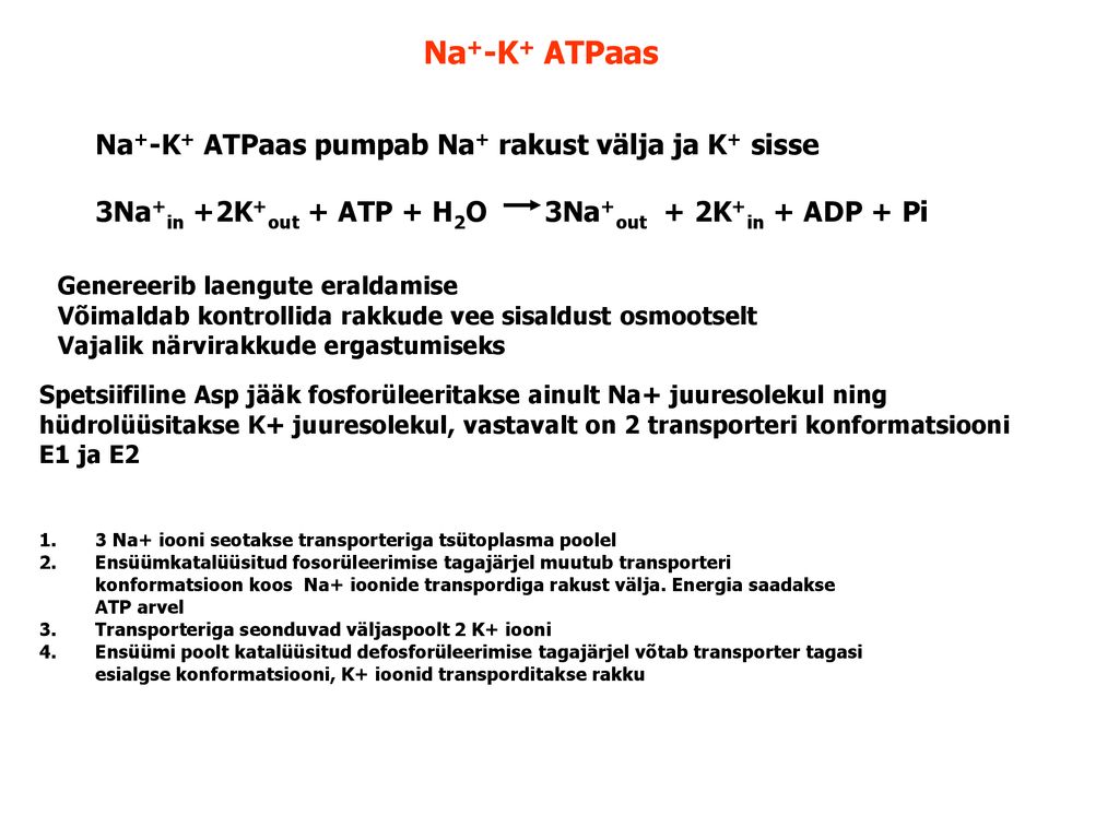 Na+-K+ ATPaas Na+-K+ ATPaas pumpab Na+ rakust välja ja K+ sisse