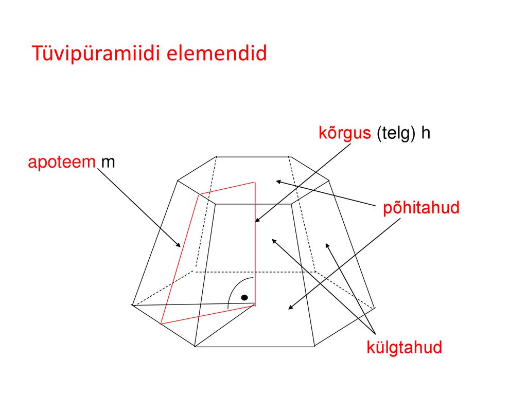 Tüvipüramiidi elemendid