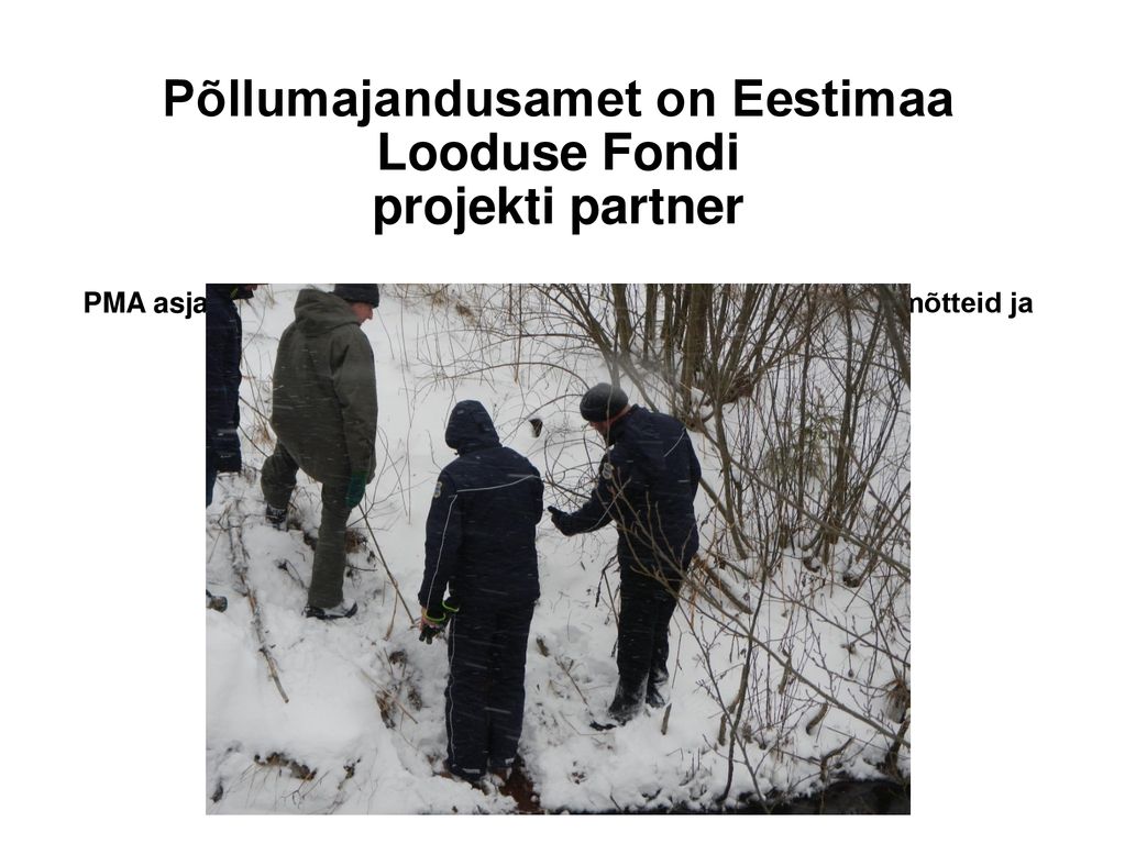 Põllumajandusamet on Eestimaa Looduse Fondi projekti partner PMA asjatundjad selgitavad maaparandussüsteemi töö põhimõtteid ja nõudeid